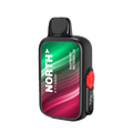 Frozen Raspberry North FT12000 Disposable Vape