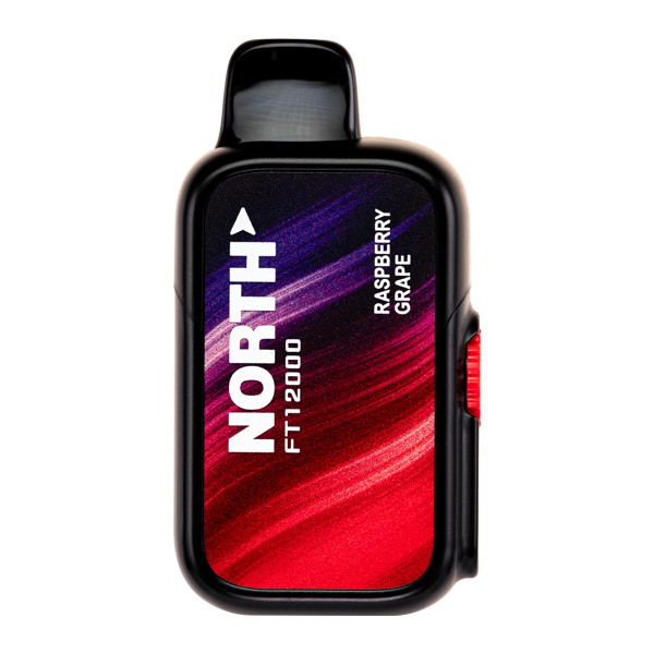 Raspberry Grape North FT12000 Disposable Vape