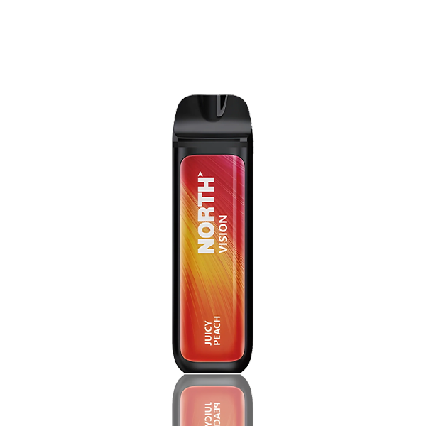 JUICY PEACH North Vision 15K Disposable Vape