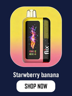 Flix Huron 60K Disposable Vape